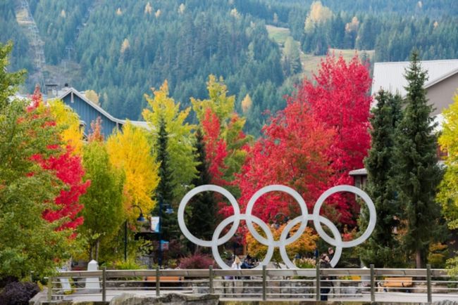 Heart of the Village - Luxury 1 Bedroom + loft 25