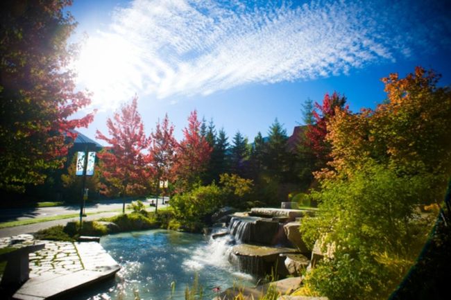 Heart of the Village - Luxury 1 Bedroom + loft 26